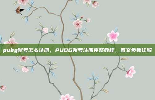 pubg账号怎么注册，PUBG账号注册完整教程，图文步骤详解