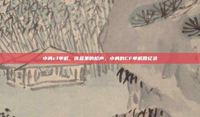 小勇cf单机,铁盒里的枪声,小勇的CF单机回忆录