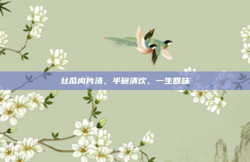 丝瓜肉片汤,半碗清欢,一生回味