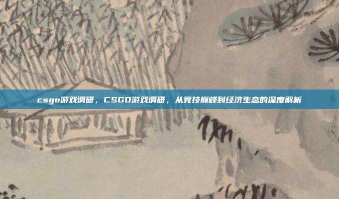 csgo游戏调研,CSGO游戏调研,从竞技巅峰到经济生态的深度解析
