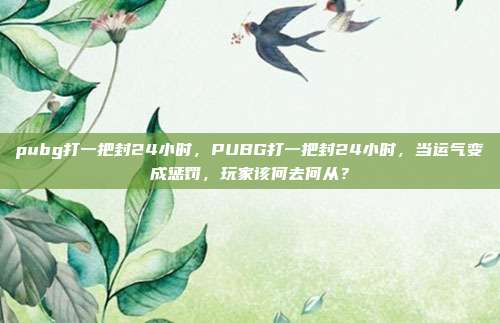 pubg打一把封24小时,PUBG打一把封24小时,当运气变成惩罚,玩家该何去何从?