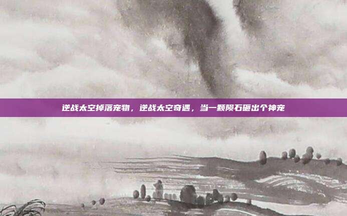 逆战太空掉落宠物,逆战太空奇遇,当一颗陨石砸出个神宠
