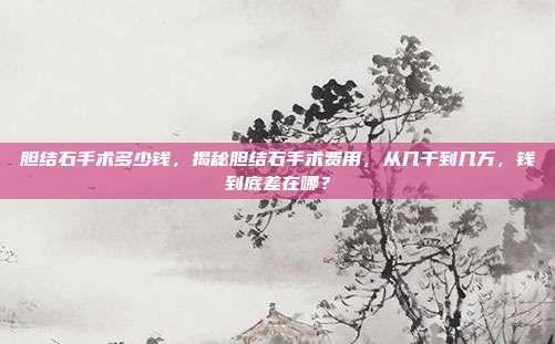 胆结石手术多少钱,揭秘胆结石手术费用,从几千到几万,钱到底差在哪?