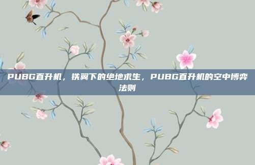 PUBG直升机,铁翼下的绝地求生,PUBG直升机的空中博弈法则