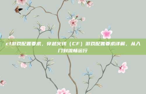 cf游戏配置要求,穿越火线(CF)游戏配置要求详解,从入门到流畅运行