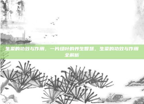 生菜的功效与作用,一片绿叶的养生智慧,生菜的功效与作用全解析
