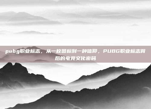 pubg职业标志,从一枚图标到一种信仰,PUBG职业标志背后的电竞文化密码