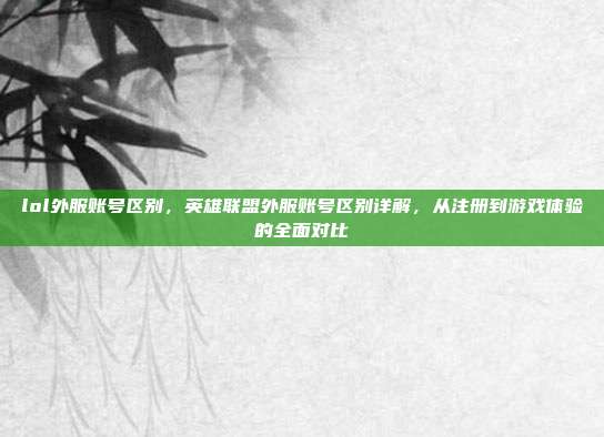 lol外服账号区别，英雄联盟外服账号区别详解，从注册到游戏体验的全面对比