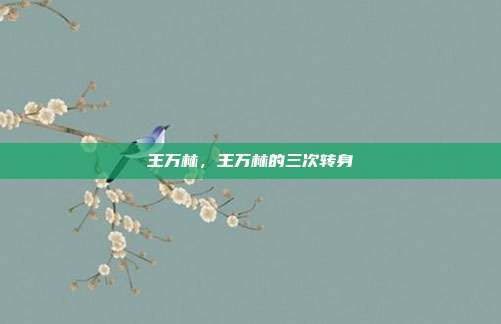 王万林,王万林的三次转身