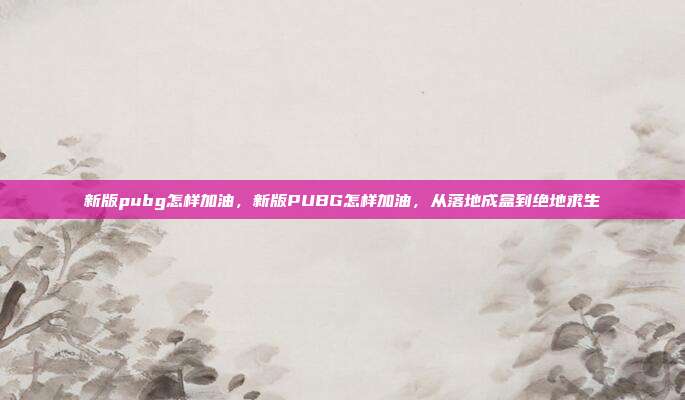新版pubg怎样加油,新版PUBG怎样加油,从落地成盒到绝地求生