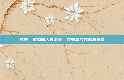 百劳,孤鸣自古含杀意,百劳鸟的哀愁与抗争