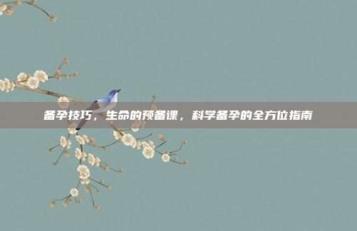 备孕技巧,生命的预备课,科学备孕的全方位指南