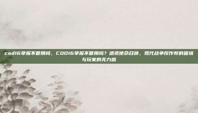 cod16举报不管用吗,COD16举报不管用吗?透视使命召唤,现代战争反作弊的困境与玩家的无力感