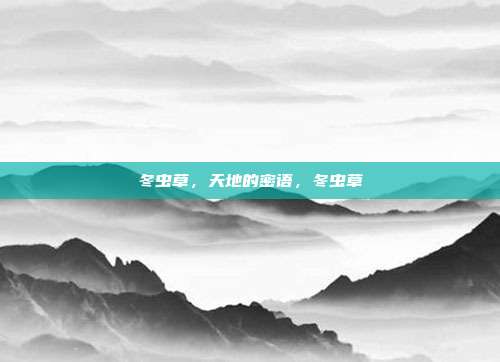 冬虫草,天地的密语,冬虫草