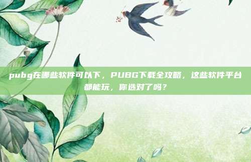 pubg在哪些软件可以下,PUBG下载全攻略,这些软件平台都能玩,你选对了吗?