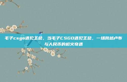 毛子csgo遇见王总,当毛子CSGO遇见王总,一场跨越卢布与人民币的枪火奇遇
