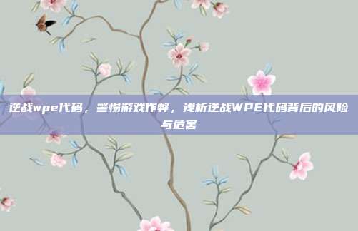 逆战wpe代码,警惕游戏作弊,浅析逆战WPE代码背后的风险与危害