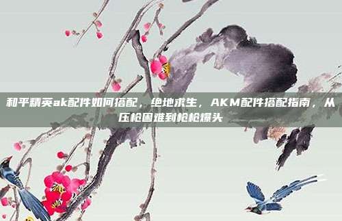 和平精英ak配件如何搭配,绝地求生,AKM配件搭配指南,从压枪困难到枪枪爆头