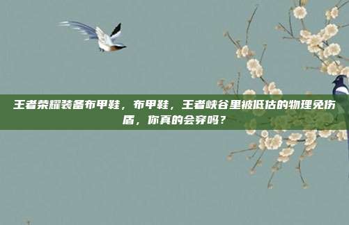 王者荣耀装备布甲鞋,布甲鞋,王者峡谷里被低估的物理免伤盾,你真的会穿吗?
