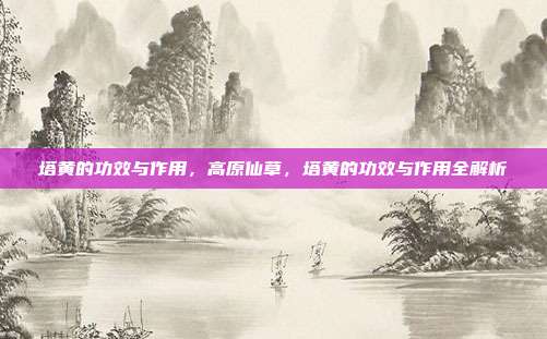 塔黄的功效与作用,高原仙草,塔黄的功效与作用全解析