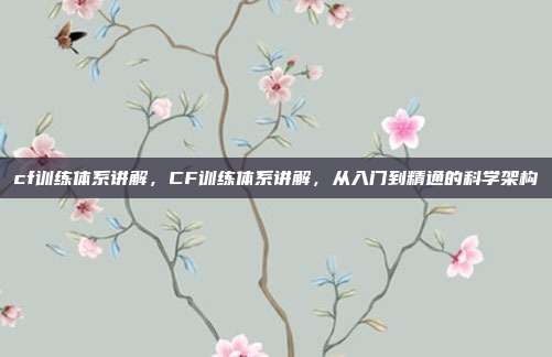 cf训练体系讲解,CF训练体系讲解,从入门到精通的科学架构