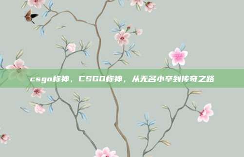 csgo称神,CSGO称神,从无名小卒到传奇之路