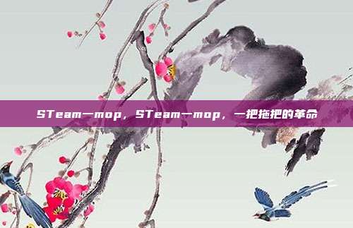 STeam一mop,STeam一mop,一把拖把的革命