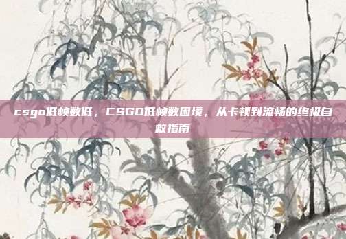 csgo低帧数低,CSGO低帧数困境,从卡顿到流畅的终极自救指南