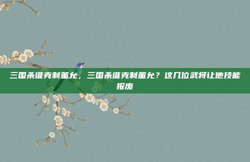 三国杀谁克制董允,三国杀谁克制董允?这几位武将让他技能报废