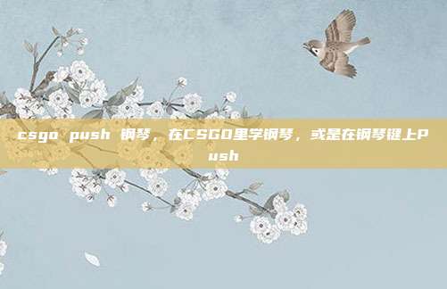 csgo push 钢琴,在CSGO里学钢琴,或是在钢琴键上Push