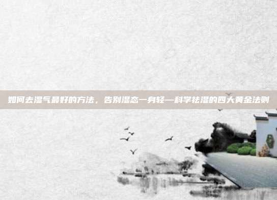 如何去湿气最好的方法,告别湿态一身轻—科学祛湿的四大黄金法则