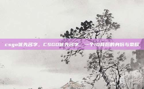 csgo优先名字,CSGO优先名字,一个ID背后的身份与荣耀