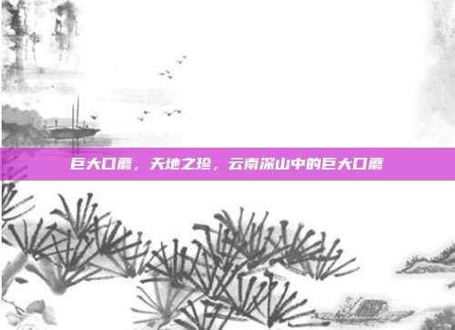 巨大口蘑,天地之珍,云南深山中的巨大口蘑