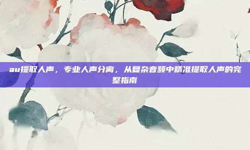 au提取人声,专业人声分离,从复杂音频中精准提取人声的完整指南