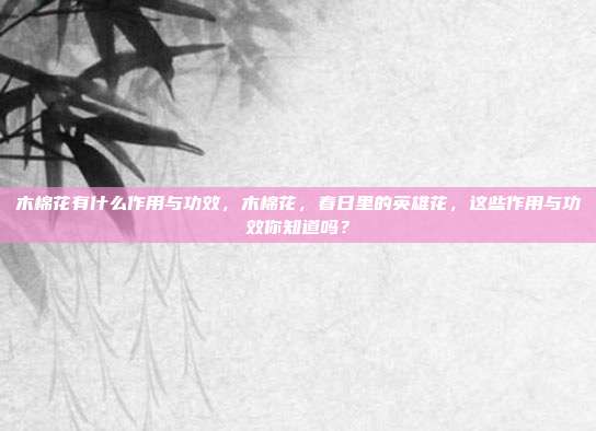木棉花有什么作用与功效,木棉花,春日里的英雄花,这些作用与功效你知道吗?