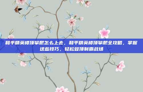和平精英楼顶攀爬怎么上去,和平精英楼顶攀爬全攻略,掌握这些技巧,轻松登顶制霸战场