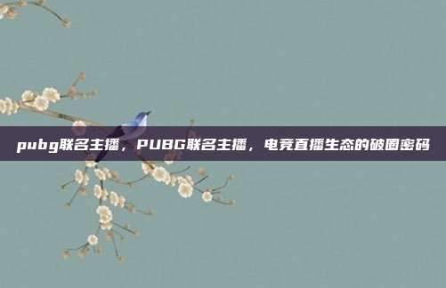pubg联名主播,PUBG联名主播,电竞直播生态的破圈密码