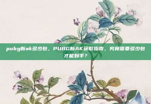 pubg新ak多少包,PUBG新AK获取指南,究竟需要多少包才能到手?