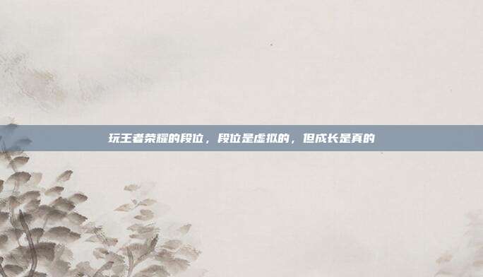 玩王者荣耀的段位,段位是虚拟的,但成长是真的