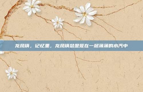 龙凤镇,记忆里,龙凤镇总是笼在一层薄薄的水汽中
