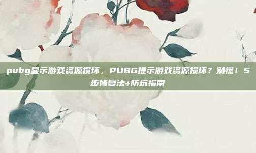 pubg显示游戏资源损坏,PUBG提示游戏资源损坏?别慌!5步修复法+防坑指南