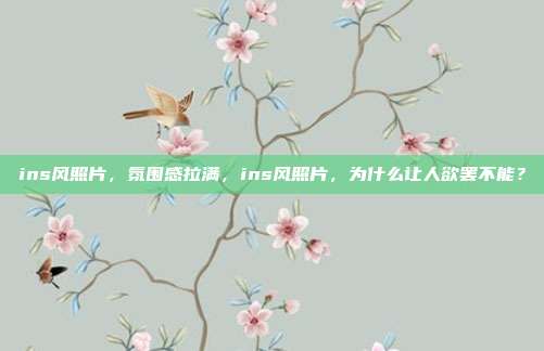 ins风照片,氛围感拉满,ins风照片,为什么让人欲罢不能?