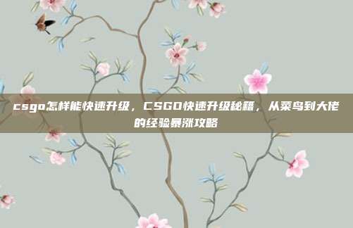 csgo怎样能快速升级,CSGO快速升级秘籍,从菜鸟到大佬的经验暴涨攻略