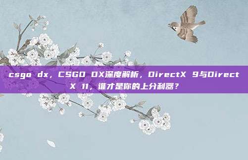 csgo dx,CSGO DX深度解析,DirectX 9与DirectX 11,谁才是你的上分利器?