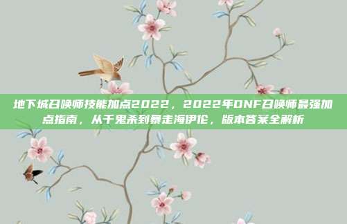 地下城召唤师技能加点2022,2022年DNF召唤师最强加点指南,从千鬼杀到暴走海伊伦,版本答案全解析
