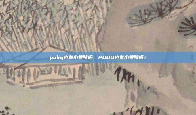 pubg也有小黄鸭吗,PUBG也有小黄鸭吗?