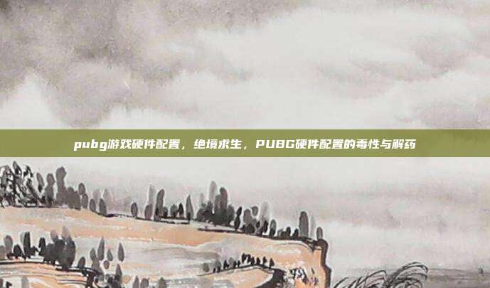 pubg游戏硬件配置,绝境求生,PUBG硬件配置的毒性与解药