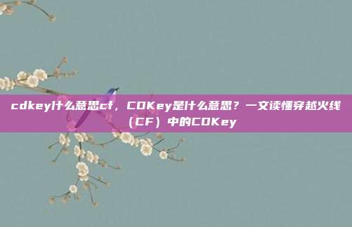 cdkey什么意思cf,CDKey是什么意思?一文读懂穿越火线(CF)中的CDKey