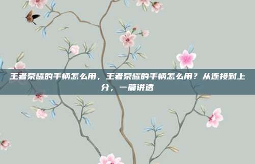 王者荣耀的手柄怎么用,王者荣耀的手柄怎么用?从连接到上分,一篇讲透