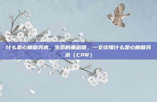 什么是心肺复苏术,生命的重启键,一文读懂什么是心肺复苏术(CPR)